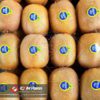 Iran Kiwifruit EXIM Asian International Trading Group